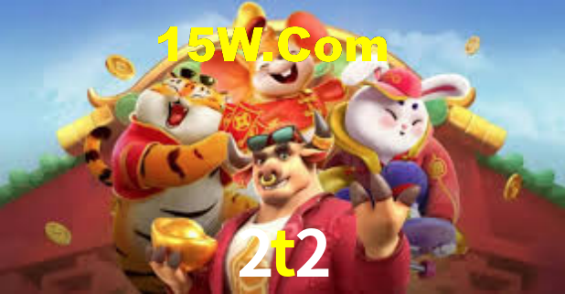 Premium Interface 2t2